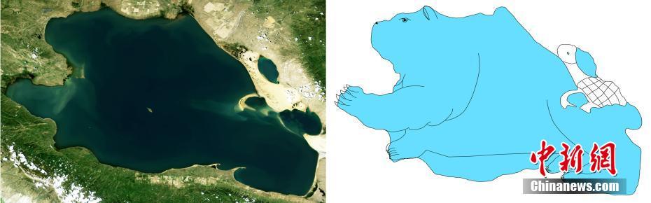 青海省の湖の衛(wèi)星畫像が研究者の手で動(dòng)物に変身！？
