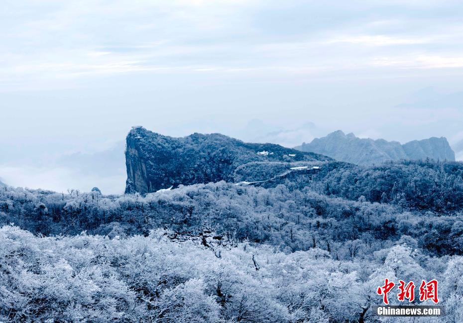 湖南省張家界天門山で降雪を観測　雲(yún)海と霧氷現(xiàn)る