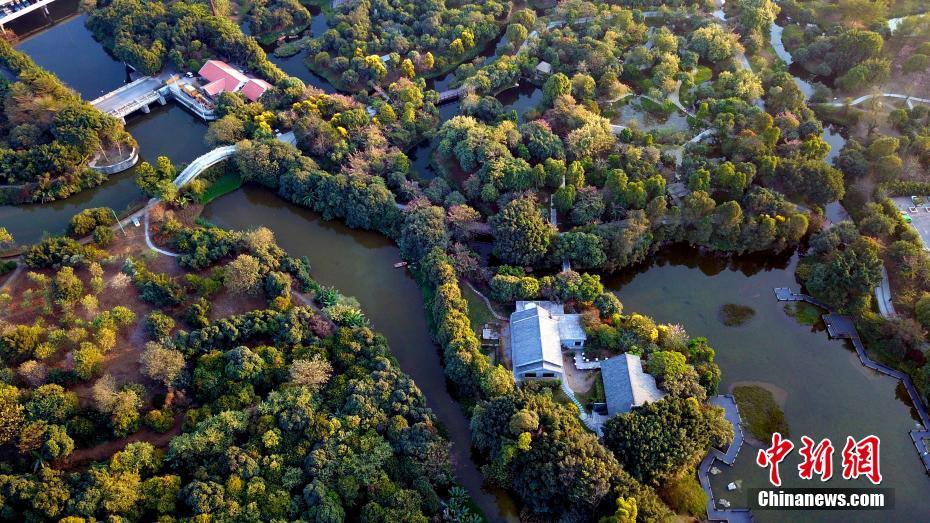 広州海珠國(guó)家濕地公園（12月27日に上空から撮影?姫東） 