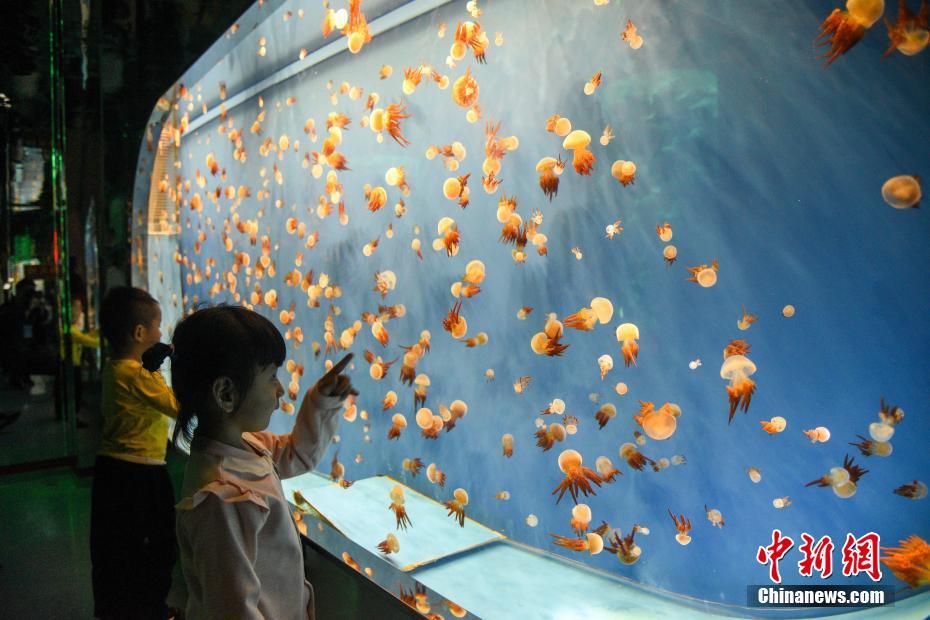 中國で初のメコン川流域淡水魚をテーマとする水族館がオープン