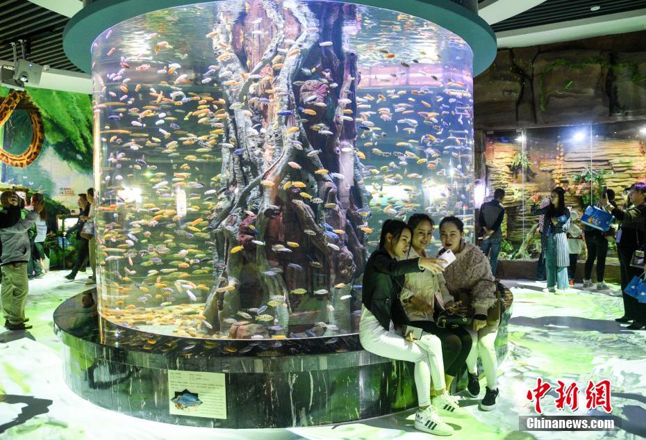 中國で初のメコン川流域淡水魚をテーマとする水族館がオープン