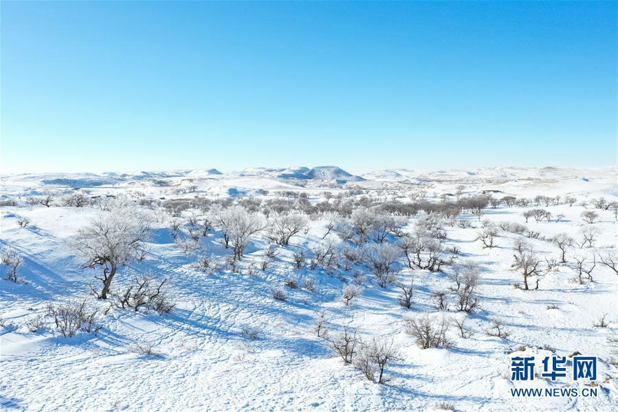 純白の雪に包まれた錫林郭勒草原の美しい冬景色　內(nèi)蒙古