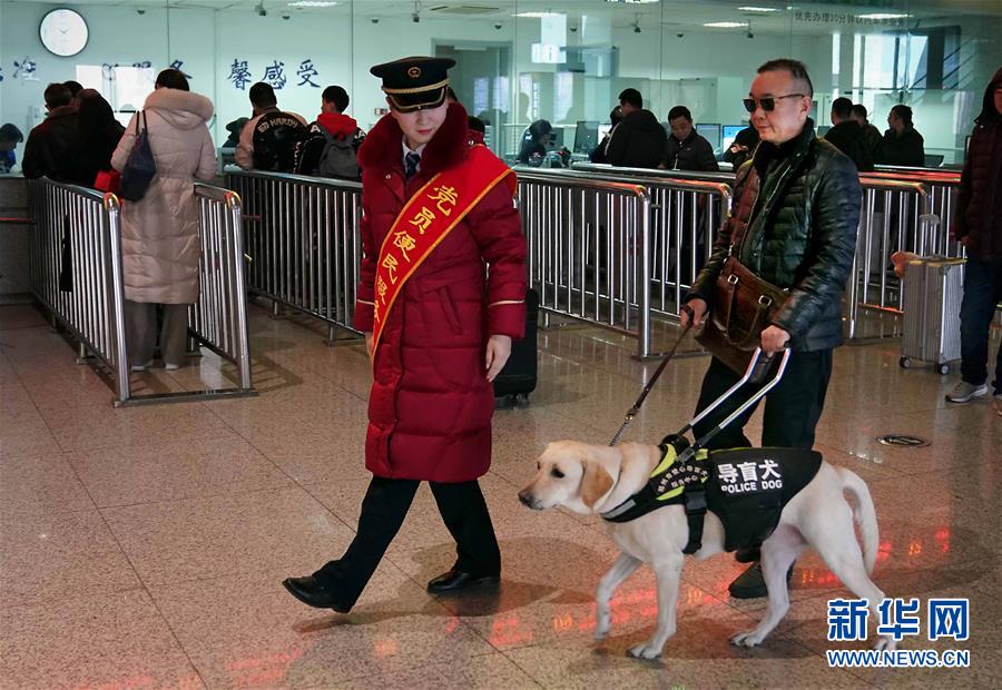 盲導(dǎo)犬が高速鉄道に同乗、目の不自由な乗客も安心　河南省