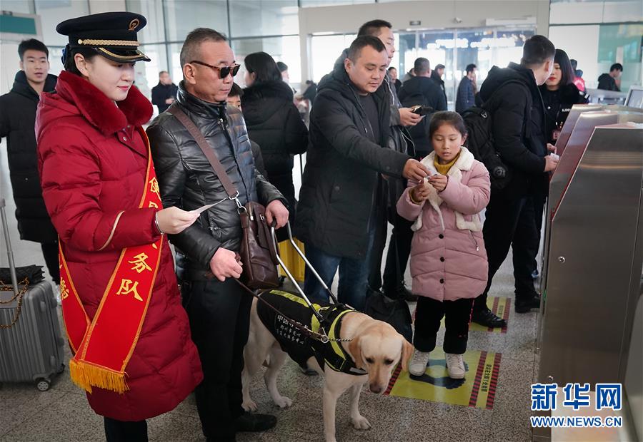 盲導(dǎo)犬が高速鉄道に同乗、目の不自由な乗客も安心　河南省