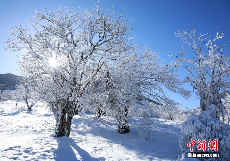 四川省茂県九鼎山に広がった美しい雪景色（撮影?何清海）。 