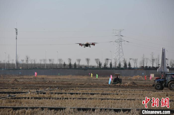 アルカリ性土壌に強(qiáng)い稲、今年の栽培面積は6.7萬ヘクタールに