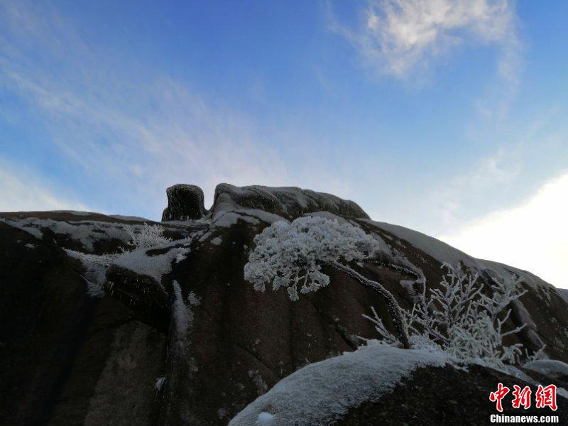 降雪後の安徽黃山　青空を背景にそびえたつ銀色の山々