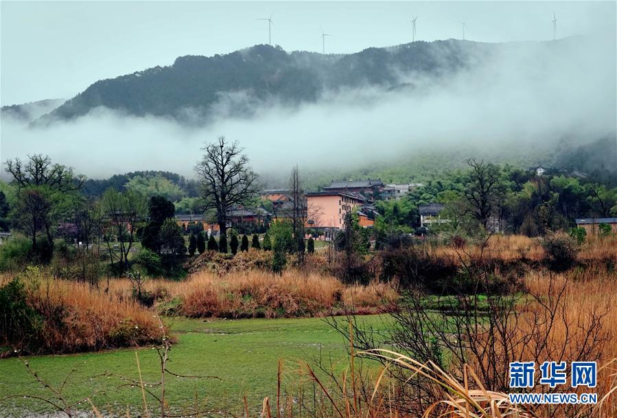 3月29日、霧雲(yún)に覆われた黃柏山國家森林公園（撮影?李安）。