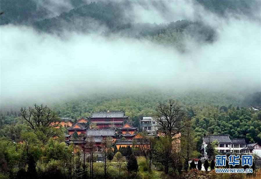 霧雲(yún)の中に浮かび上がる河南黃柏山