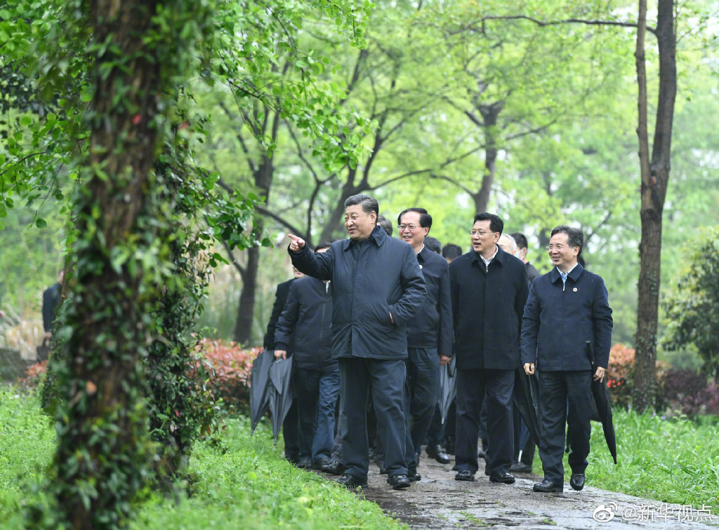 習(xí)近平総書記が杭州で濕地保護(hù)や都市ガバナンスの狀況を視察