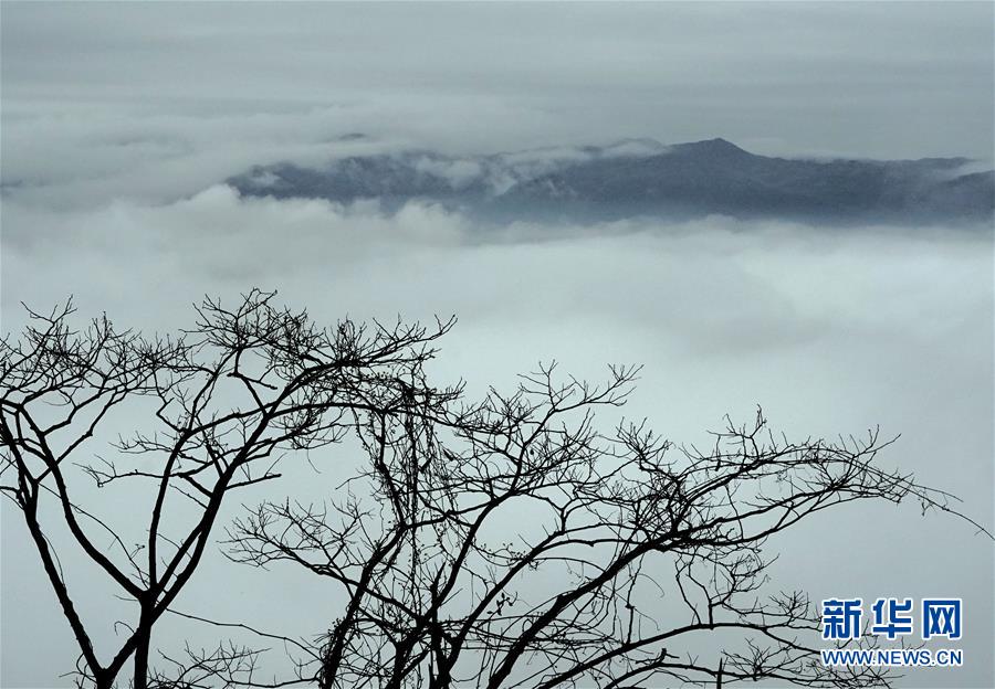 霧雲(yún)の中に浮かび上がる河南黃柏山