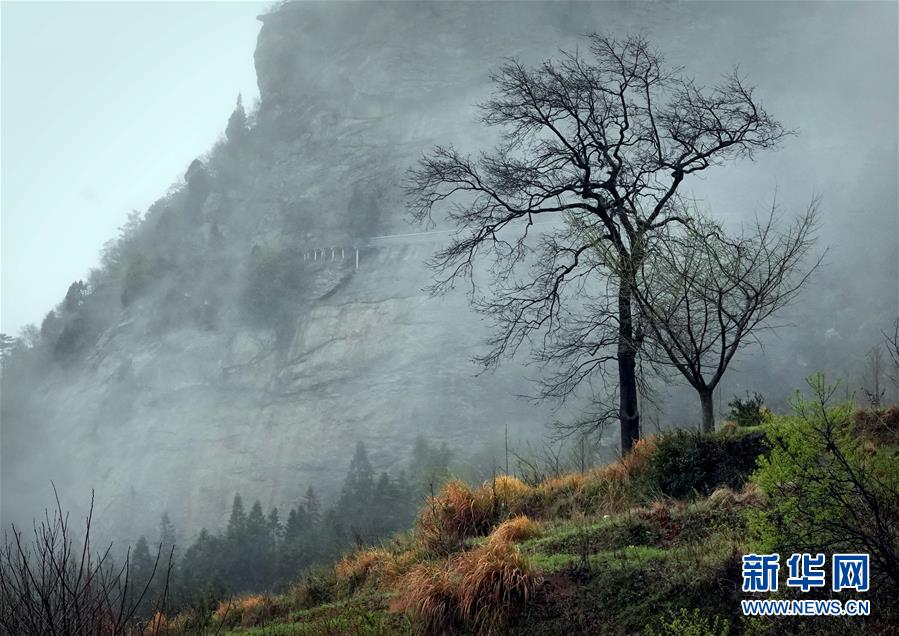 霧雲(yún)の中に浮かび上がる河南黃柏山