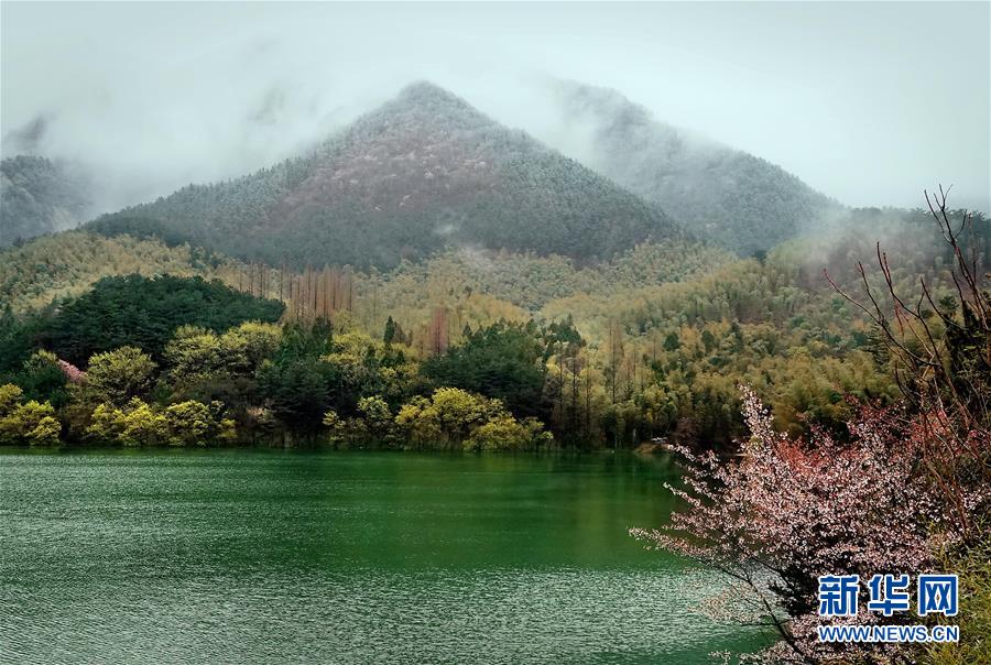 霧雲(yún)の中に浮かび上がる河南黃柏山