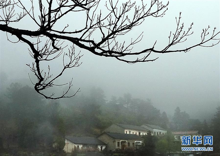 霧雲(yún)の中に浮かび上がる河南黃柏山