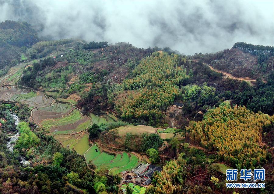 霧雲(yún)の中に浮かび上がる河南黃柏山