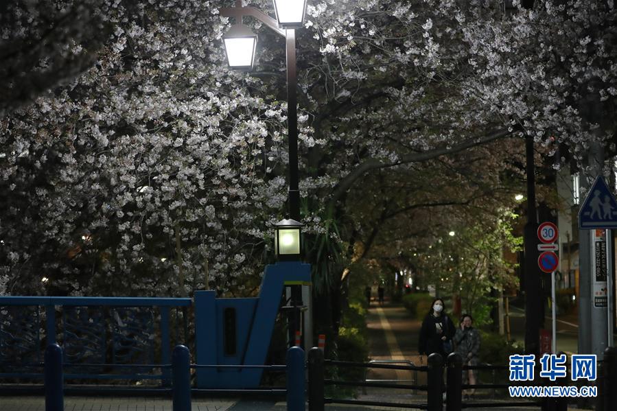 4月6日、東京でサクラの木の下をマスクをして歩く女性ら（撮影?杜瀟逸）。