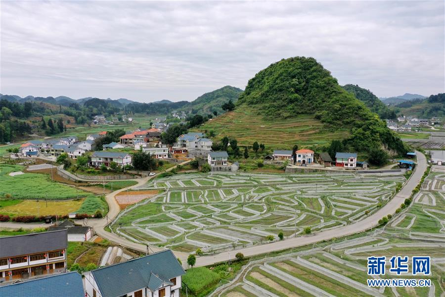 4月13日、貴州省遵義市播州區(qū)楓香鎮(zhèn)郊外の郷村（ドローンによる撮影?劉続）。