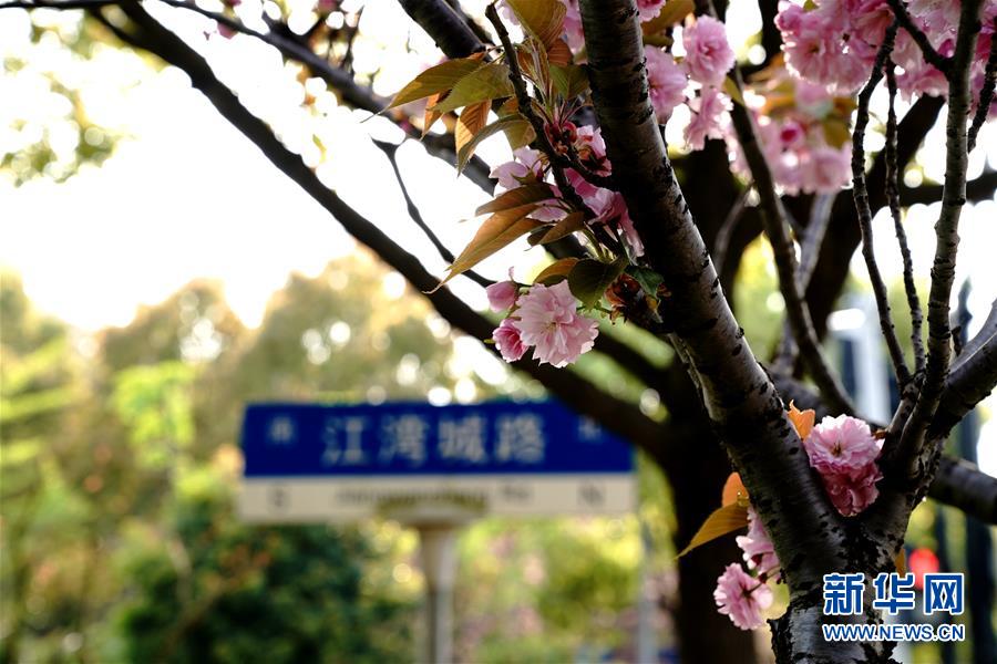 4月15日、上海楊浦區(qū)江灣城路の一角（撮影?張建松）。