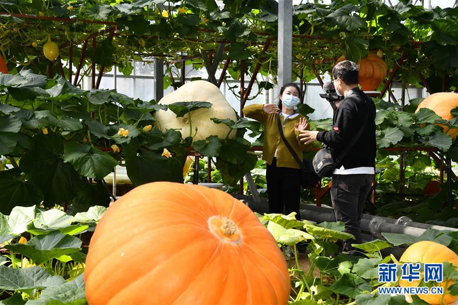 4月20日、壽光國(guó)際野菜科學(xué)技術(shù)博覧會(huì)展示館でライブ配信を行うパーソナリティ（撮影?郭緒雷）。