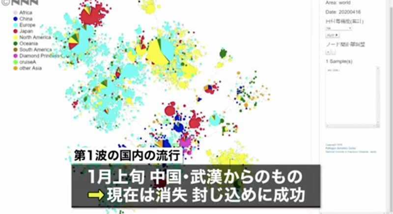 日本の國(guó)立感染癥研究所は、現(xiàn)在日本國(guó)內(nèi)で中國(guó)武漢の新型コロナウイルスは消失したと分析（グラフ出所／JNN）。