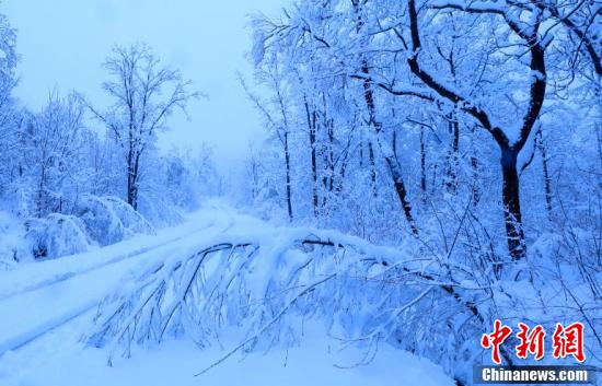 國(guó)境の町?黒竜江省饒河で50年ぶりとなる5月のみぞれ雪を観測(cè)