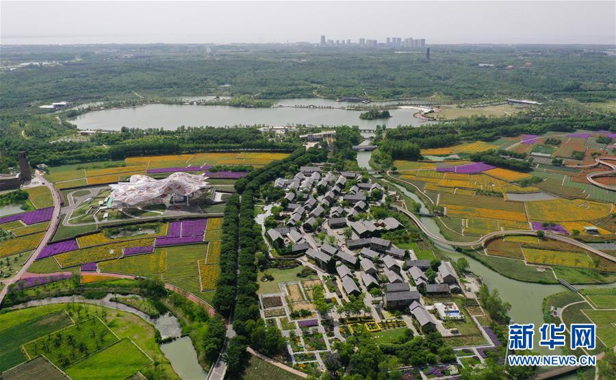 5月13日、江蘇省宿遷市三臺(tái)山森林公園に広がるカラフルな「パッチワークの花畑」（ドローンによる撮影?李春鵬）。