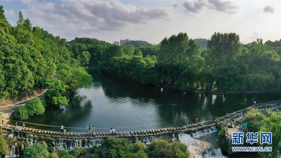 5月19日、貴陽市花渓國家都市濕地公園の黃金大道（ドローンによる撮影?歐東衢）。