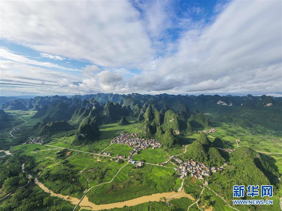 緑鮮やかな初夏の田園風景　広西?環(huán)江カルスト