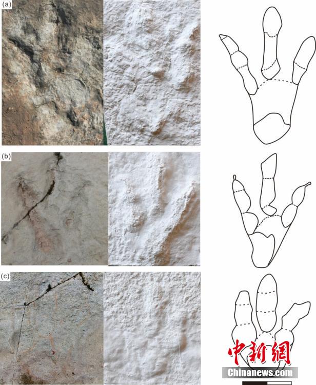 中國科學(xué)院チームが新疆ジュンガル盆地で世界最大の恐竜足跡化石を発見