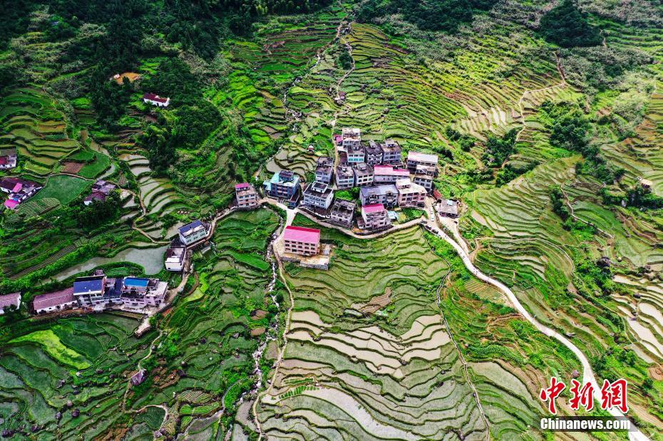 空撮された望仙郷の葛路棚田の田園風(fēng)景（撮影?劉占昆） 。