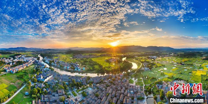 水面を覆いつくすように茂るハスの花が織りなす絶景　江西省吉安