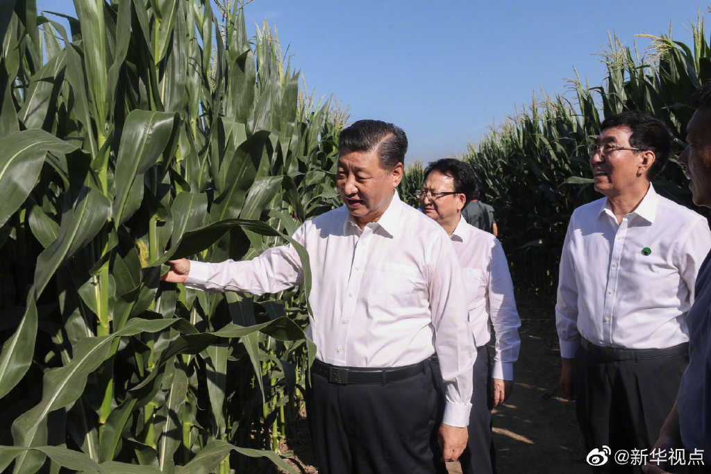 習近平総書記が吉林省視察　食糧生産等の狀況を把握