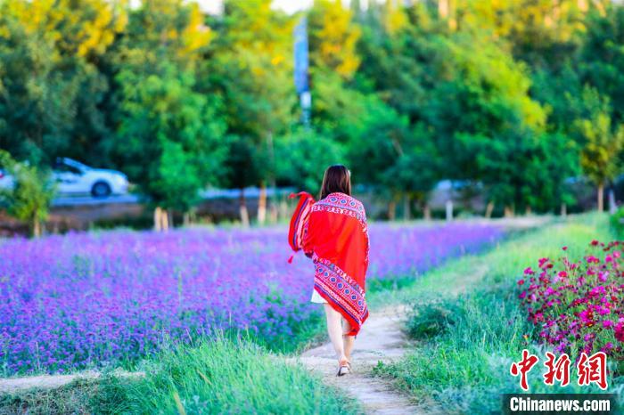 美しい花々が咲き誇る敦煌鳴沙山の郷村ツアーが人気に　甘粛省