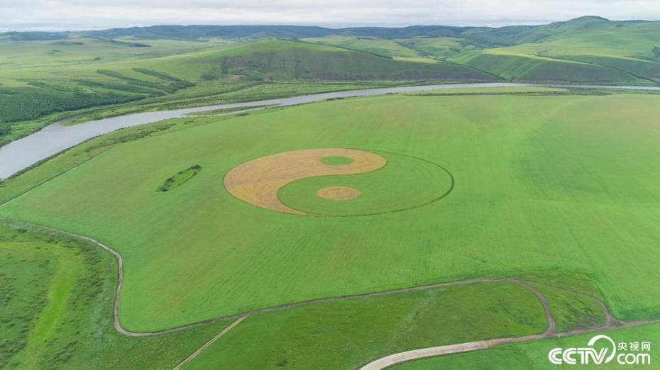 中露國境のオロチ農(nóng)園に世界最大の「太極図」