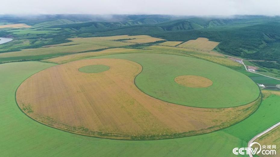 中露國(guó)境のオロチ農(nóng)園に世界最大の「太極図」