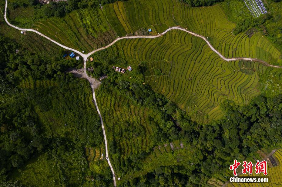 人々を魅了する「蓮花の秘境」チベット墨脫の風景