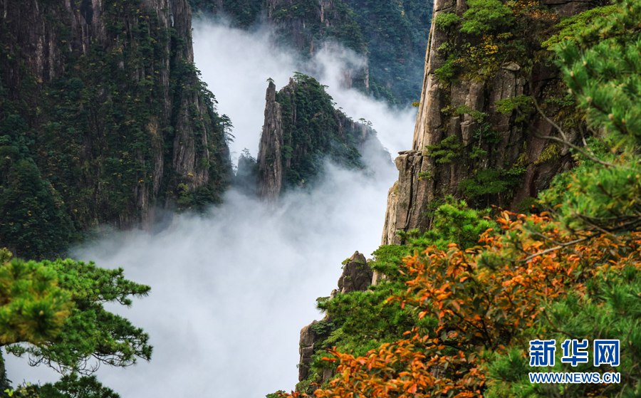 秋の気配満ちた黃山　仙界のような雲(yún)海