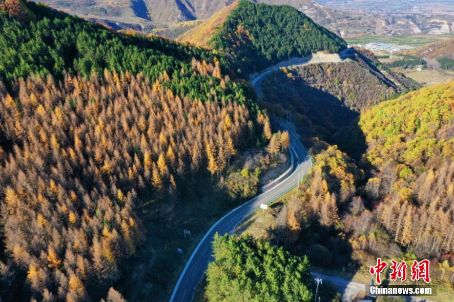 秋色のパレット一面に広がる六盤山　寧夏