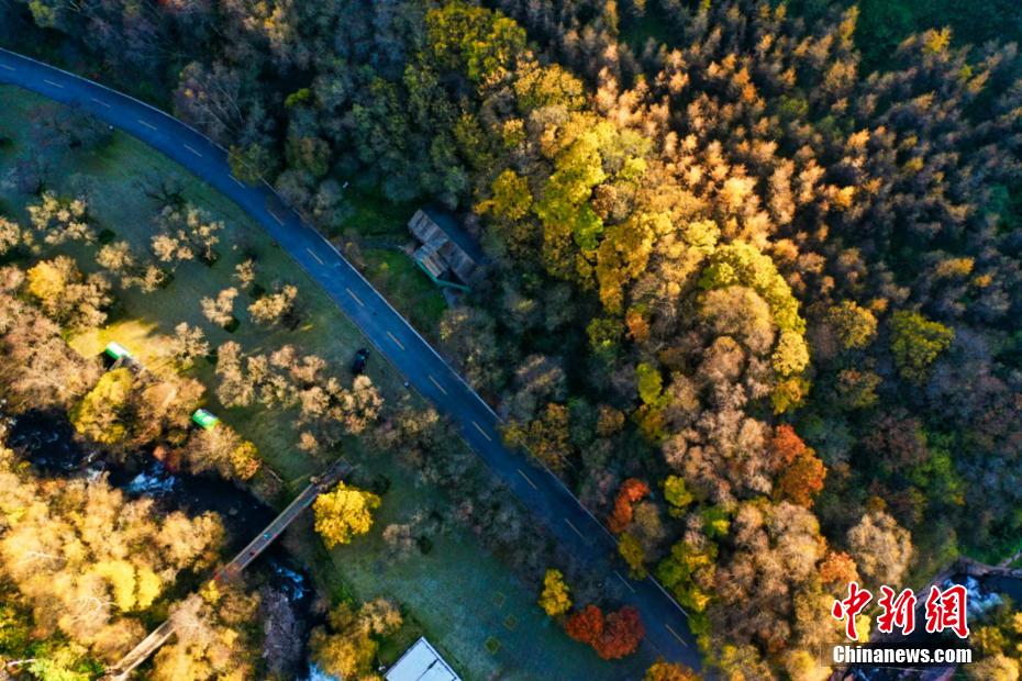 秋色のパレット一面に広がる六盤山　寧夏