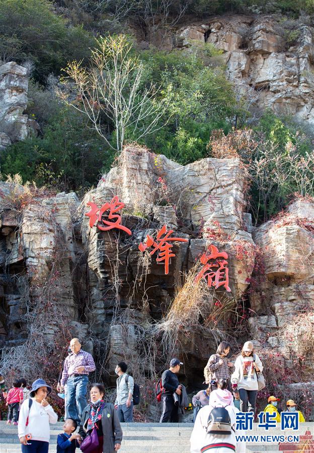 観光客を魅了する秋の紅葉　北京坡峰嶺