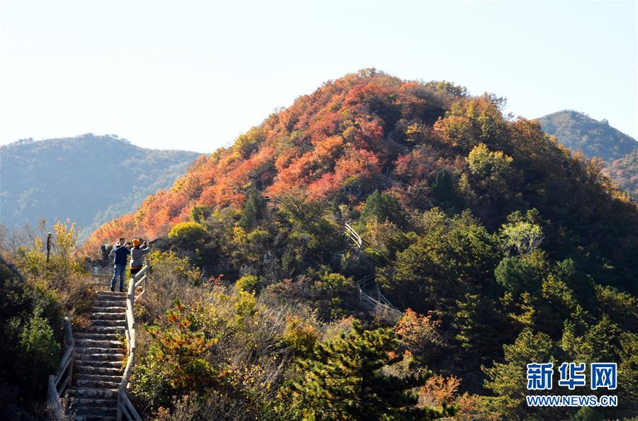 金海湖紅葉フェスティバル開幕　北京市平谷區(qū)