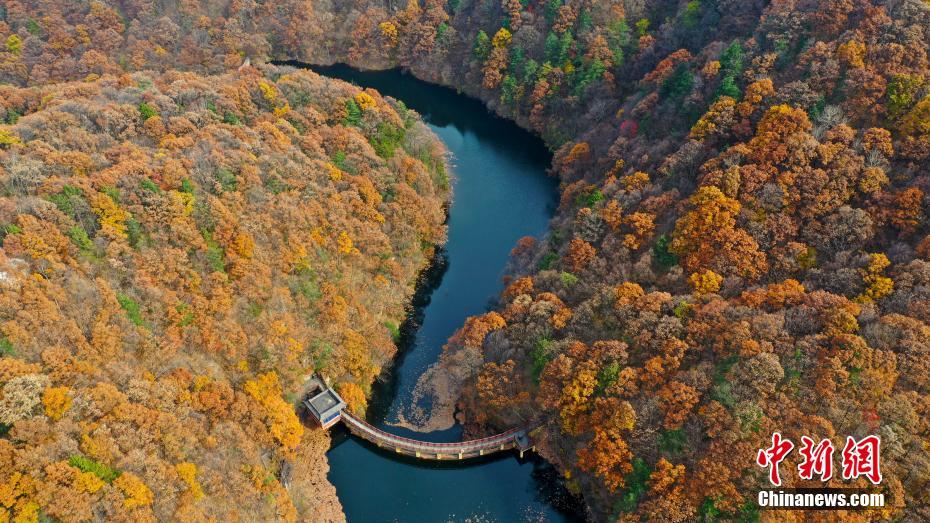 10月26日、河南省洛陽市白雲(yún)山景勝地の秋景色（撮影?牛書培）。