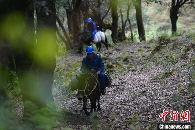 四川大涼山の「馬上の電気保安管理員」、7日間かけ無人區(qū)の點検作業(yè)