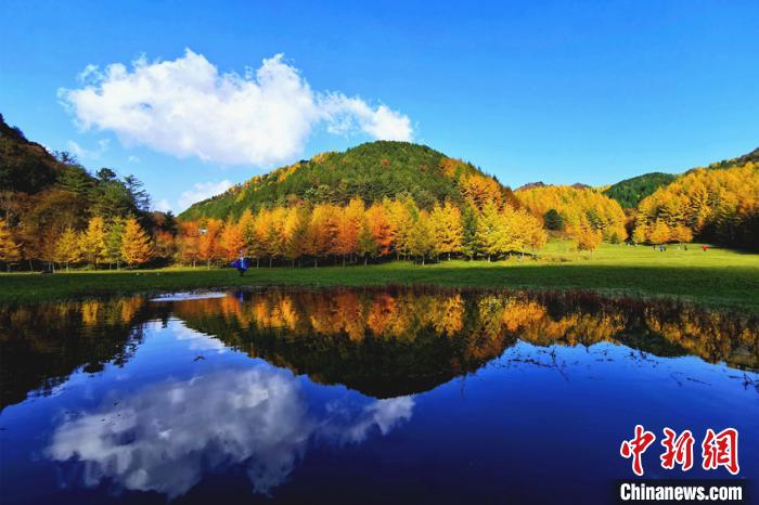 ロマンチックな紅葉シーズン到來　秋色に染まる四川省曽家山