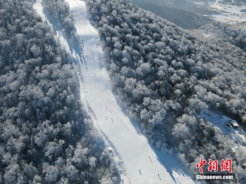 まるで仙境のような北大湖の高山の霧氷　吉林省吉林市