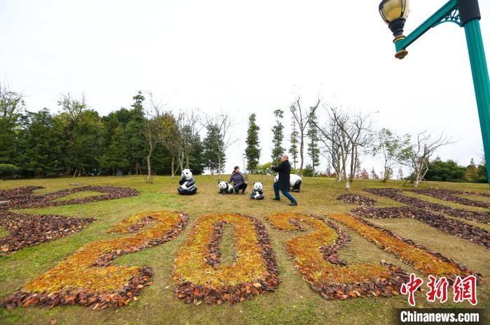 落ち葉で描かれた「2021」などの文字（撮影?白桂斌）。