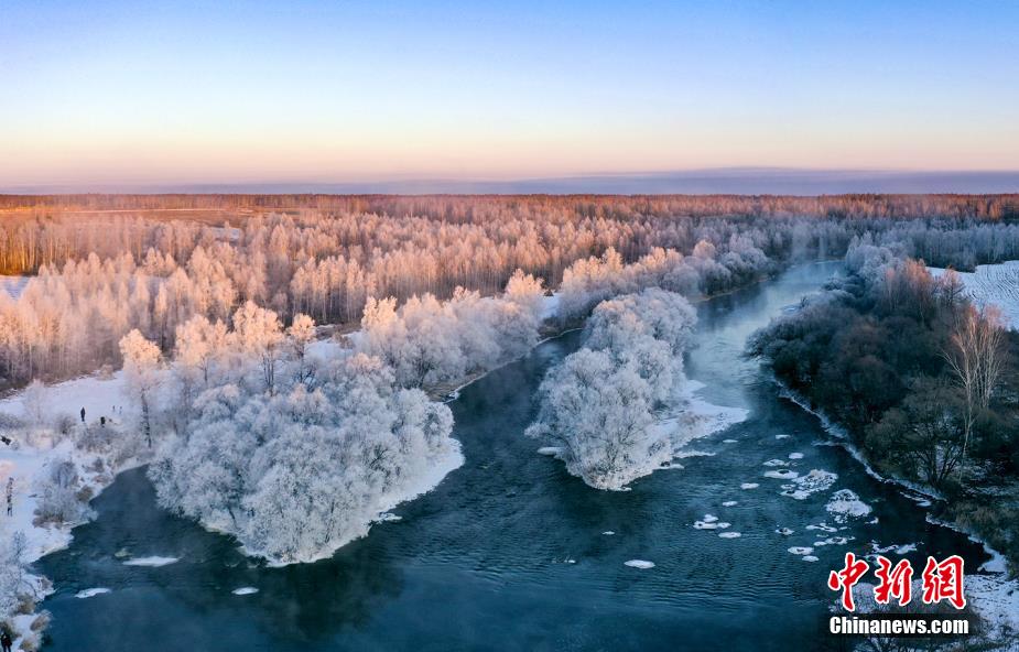 気溫がマイナス20度まで下がった15日早朝、黒竜江省黒河市遜克県大平臺霧松景勝地に広がる樹氷の絶景（撮影?王殿傑）。