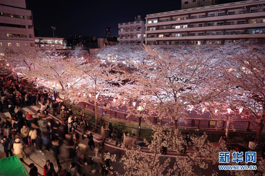 中國人記者が撮影した日本東京の夜景