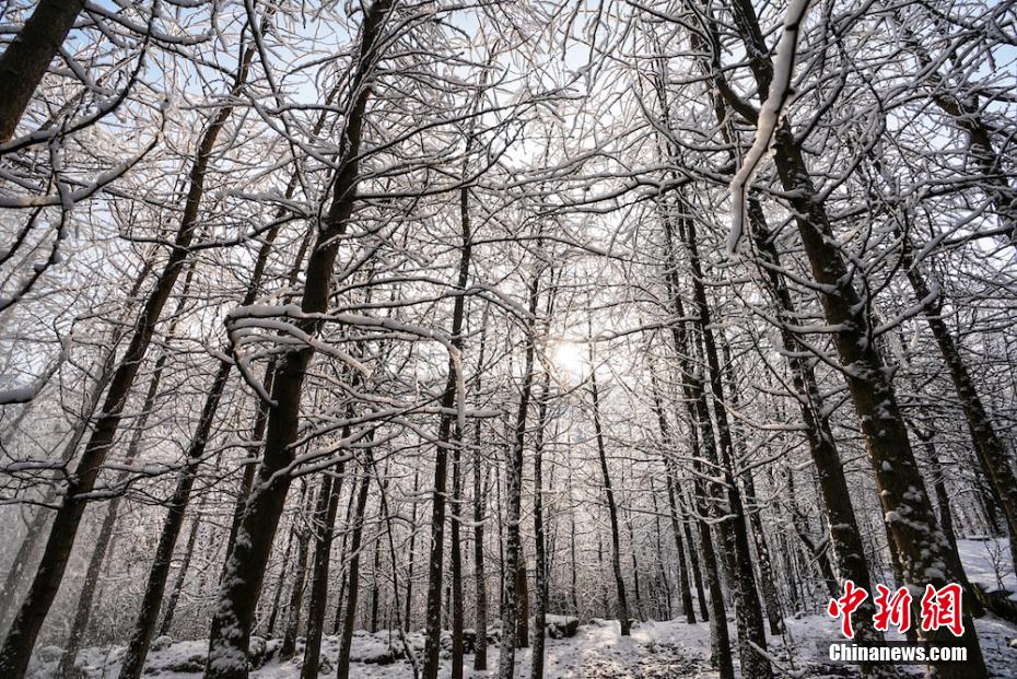 太陽の光でキラキラ光る雪の「仙境」　四川省古藺