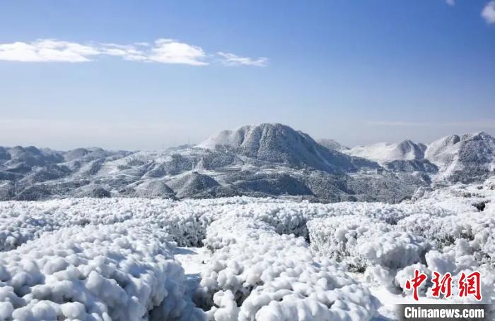 まるで「アナと雪の女王」のような景色広がる雪に包まれた茶畑　貴州省